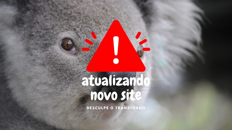 atualização site koala