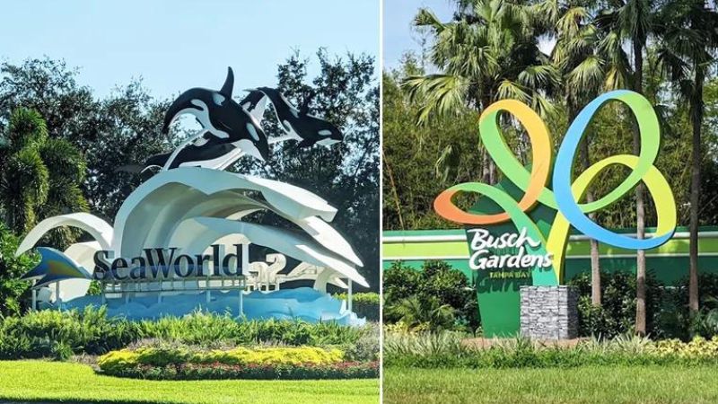 Ingresso exclusivo Busch Gardens e Sea World para brasileiros