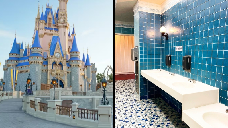 Sabia que os banheiros da Disney não têm espelhos? Descubra por quê!