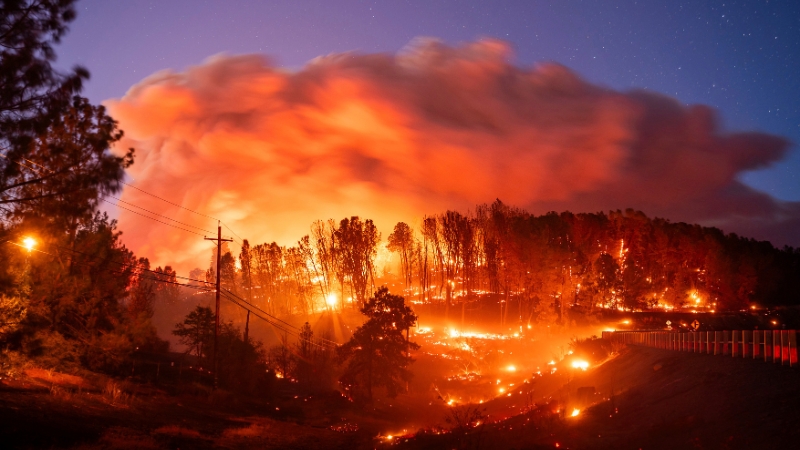 Incêndios Califórnia: Regiões afetadas e Impactos devastadores